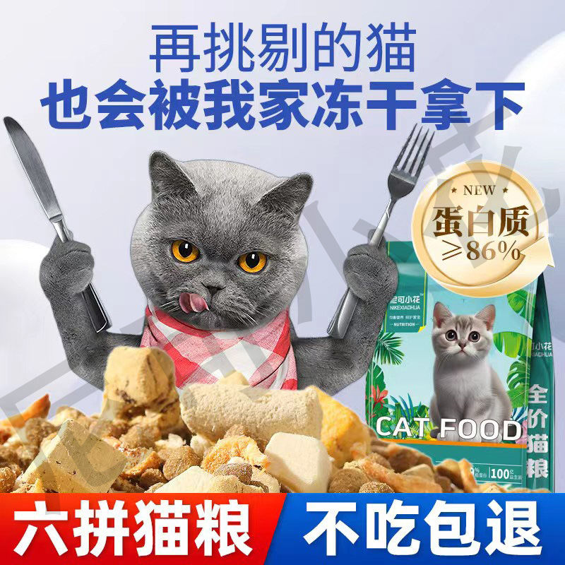 freeze-dried  food increase fat hair chin into  kittens milk pastry british shorthair fish meat low oil natural  food  staple food wholesale