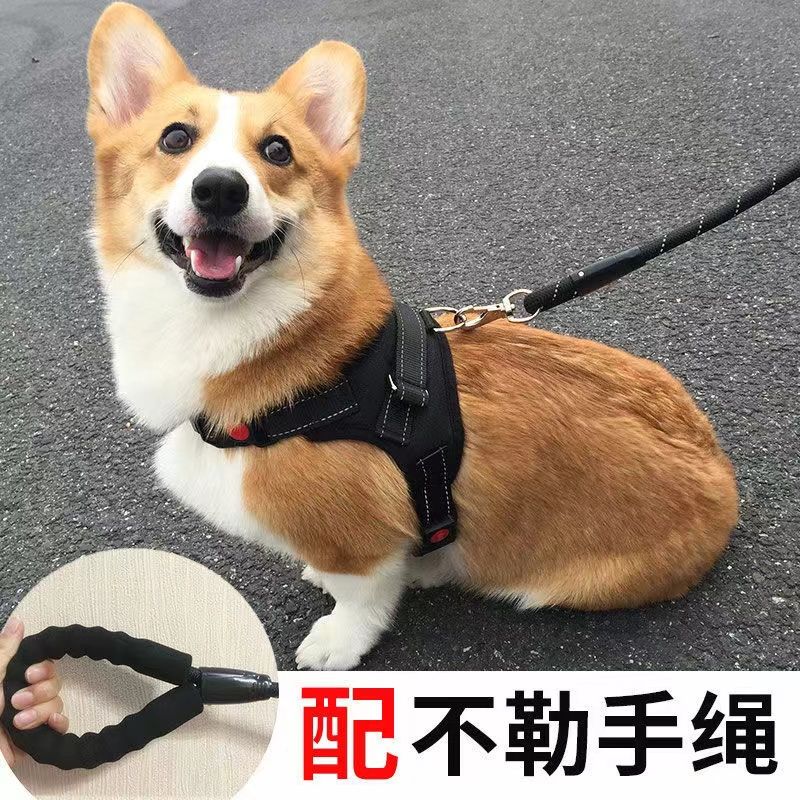 dog hand holding rope chest and back small， medium and large dogs walking dog hand holding rope explosion-proof dog leash universal strap heart style