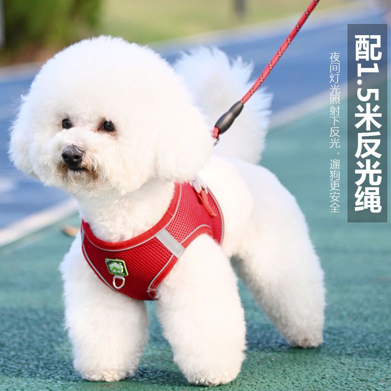 vest dog hand holding rope small dog teddy bichon pomeranian puppy pet adjustable chest strap dog leash