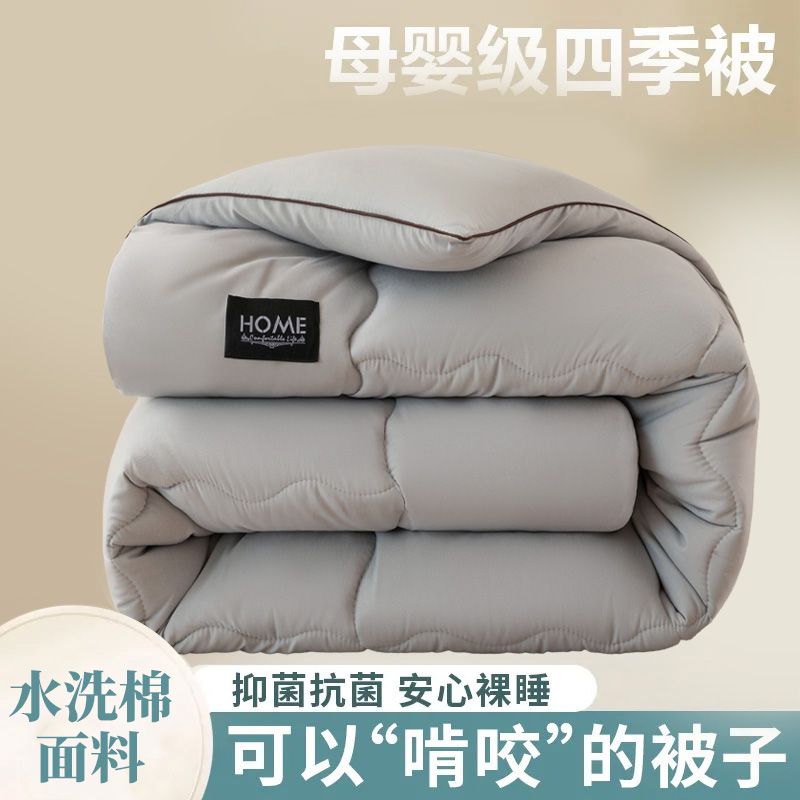 quilt winter quilt thick washed cotton duvet insert warm universal winter student dormitory single person double quilt for spring and autumn cold-proof