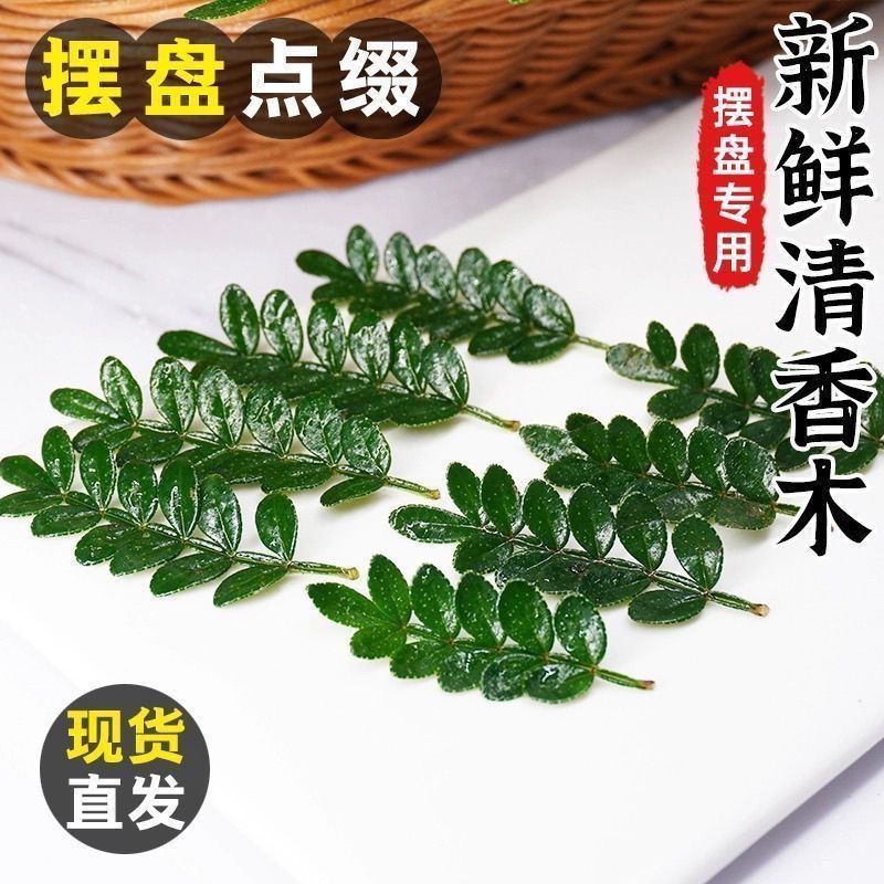 fragrant cake decoration leaves fresh western baking plant decoration plate dessert pepper pot