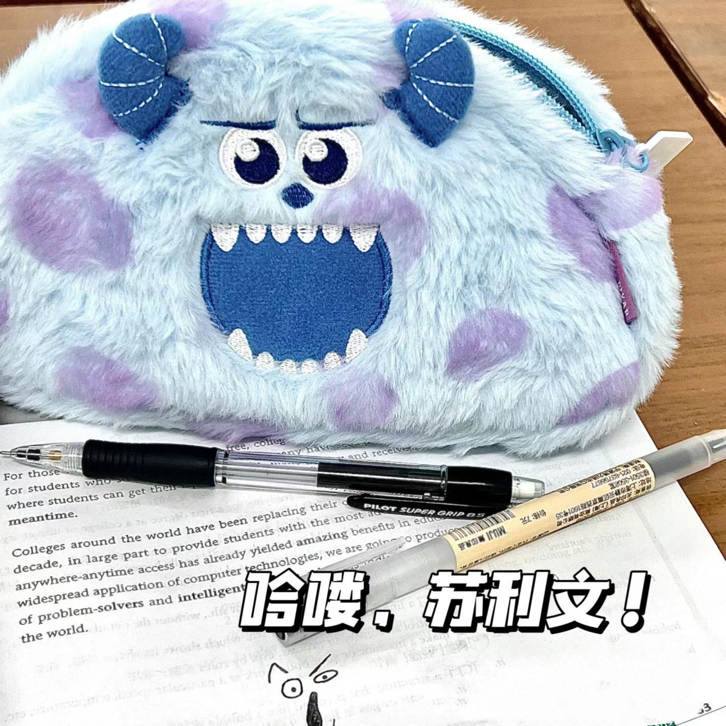 ins good-looking plush little monster sullivan pencil case cute large capacity storage box stationery box