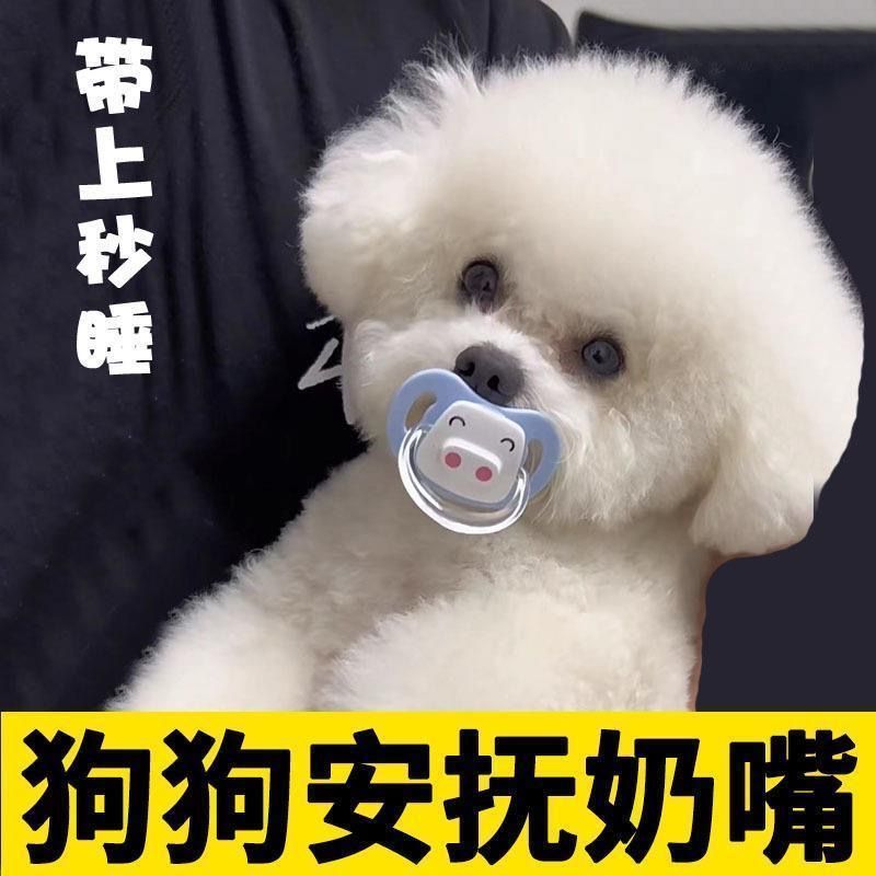 bichon frise special pacifier dog soothing puppy pet toy molar daily necessities weaning small body puppy bite