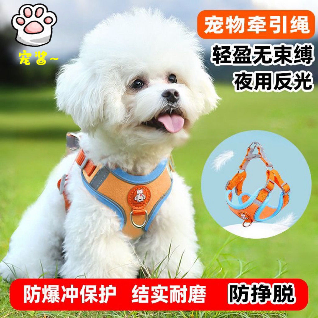 dog hand holding rope reflective chest strap vest small dog bichon corgi teddy walking dog hand holding rope dog chain