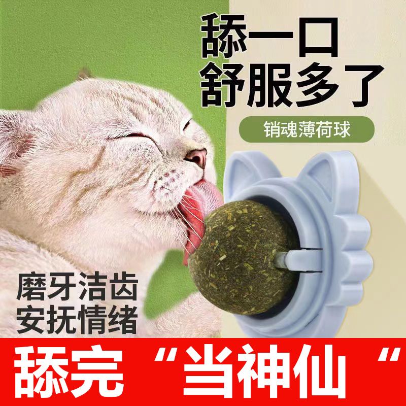 catnip ball  toy self-hi relieving stuffy kittens  supplies complete collection of  grass ball molar rod artifact  toy