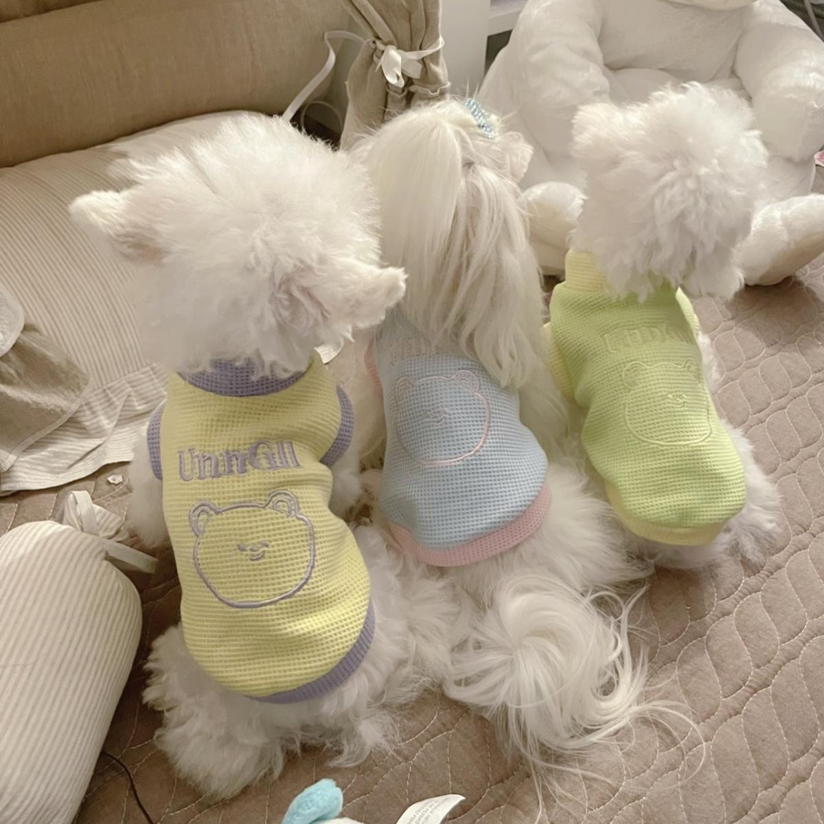 pet dog clothes spring and autumn summer maltese pomeranian teddy bichon small dog puppy anti-lint thin