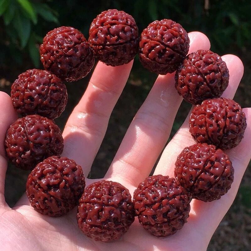 [close clearance leak 9] coated pulp jadified rudraksha bead bracelet bodhi seed collectables-autograph rosary walnut