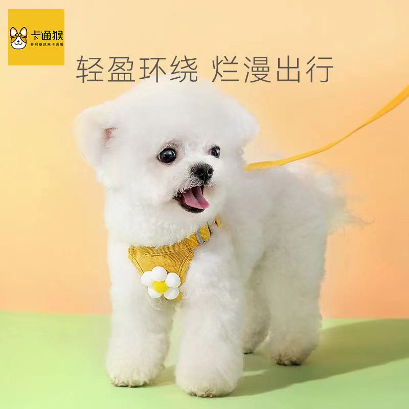 dog hand holding rope vest-style dog leash teddy bichon small dog chest strap  rope internet celebrity pet supplies