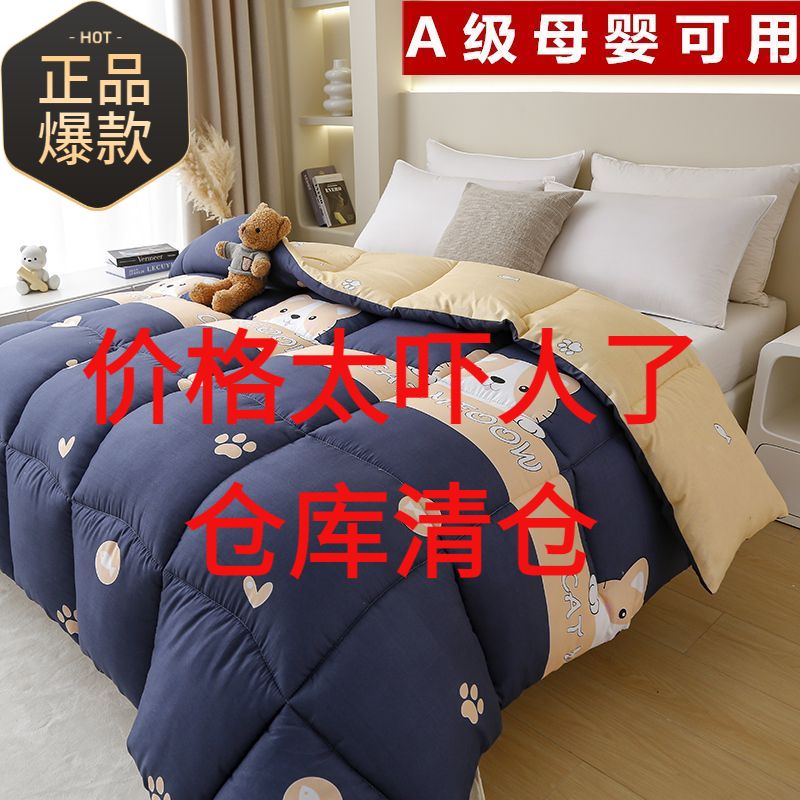 student four seasons quilt winter quilt thick warm duvet insert single dormitory single person double spring and autumn quilt winter quilt