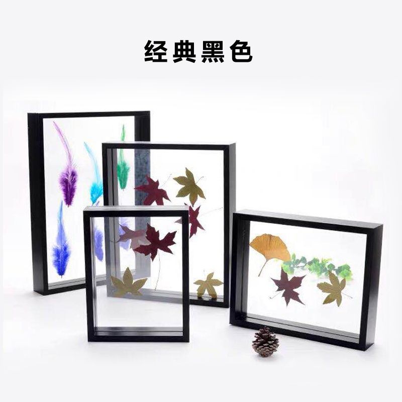 Creative Double-Sided Real Glass Plant Specimen Photo Frame Wood Color Three-Dimensional Picture Frame Decoration Transparent DIY Combination