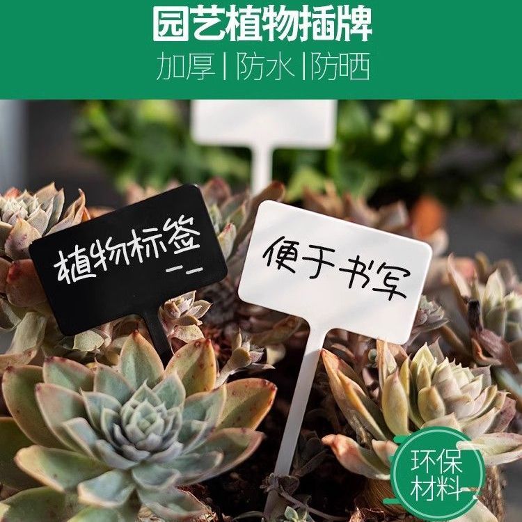 植物标签插牌园艺多肉标签插牌热植花卉标签标识牌防水名字标牌