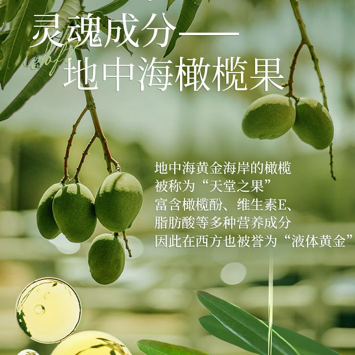 仙维娜橄榄去屑洗发水香味持久清爽控油洗发露女洗发水男士洗头膏 图片 7