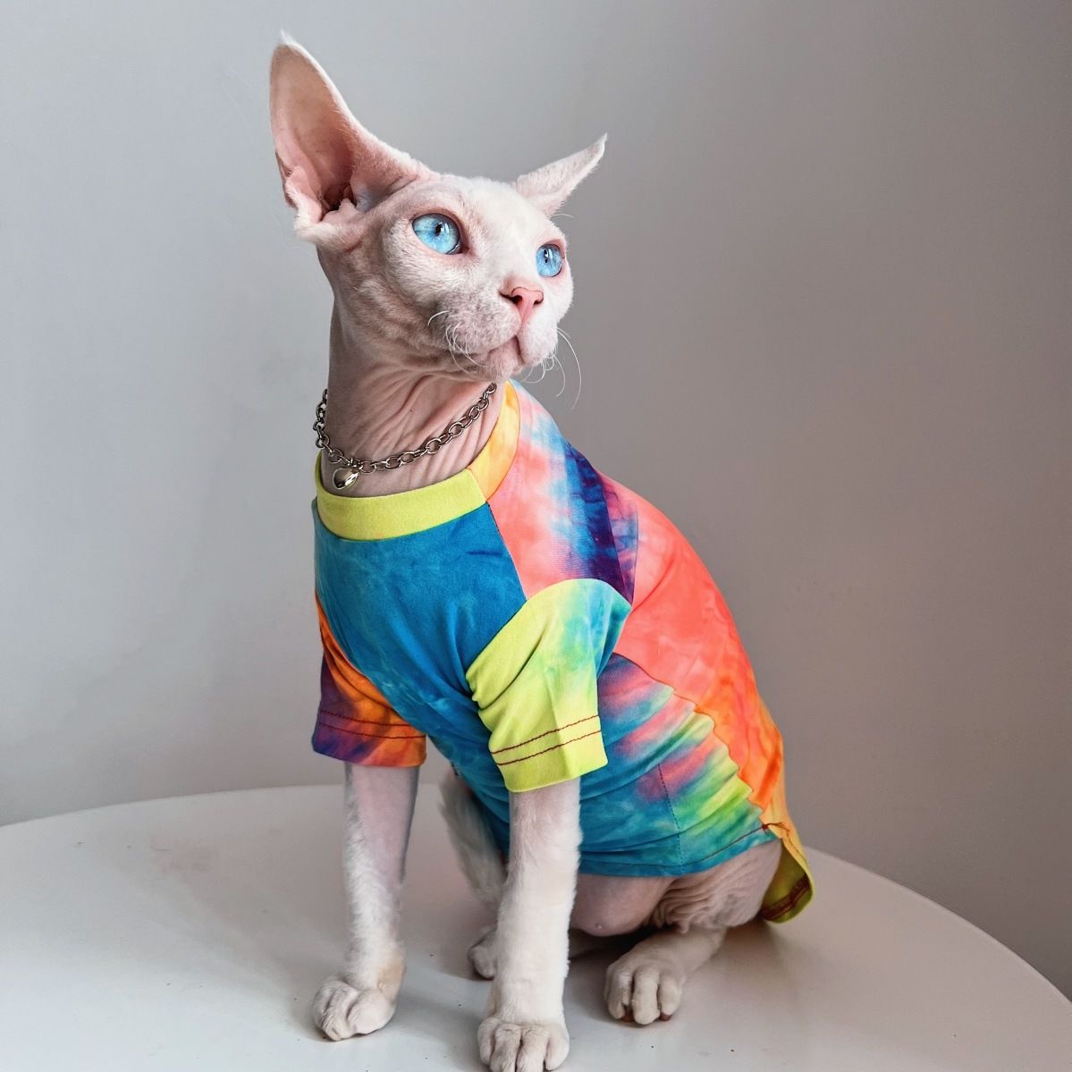 无毛猫德文猫衣服斯芬克斯柯尼斯亲肤防过敏夏天空调宠物T扎染潮