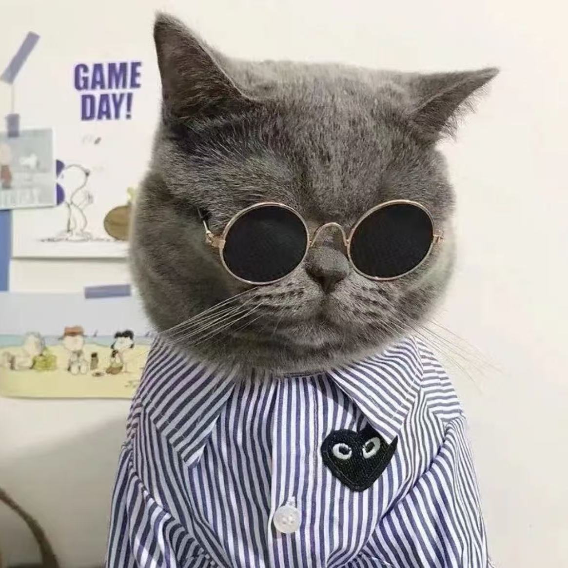 宠物太阳眼镜猫咪小墨镜diy配饰时尚狗狗圆形复古小型犬迷你眼镜