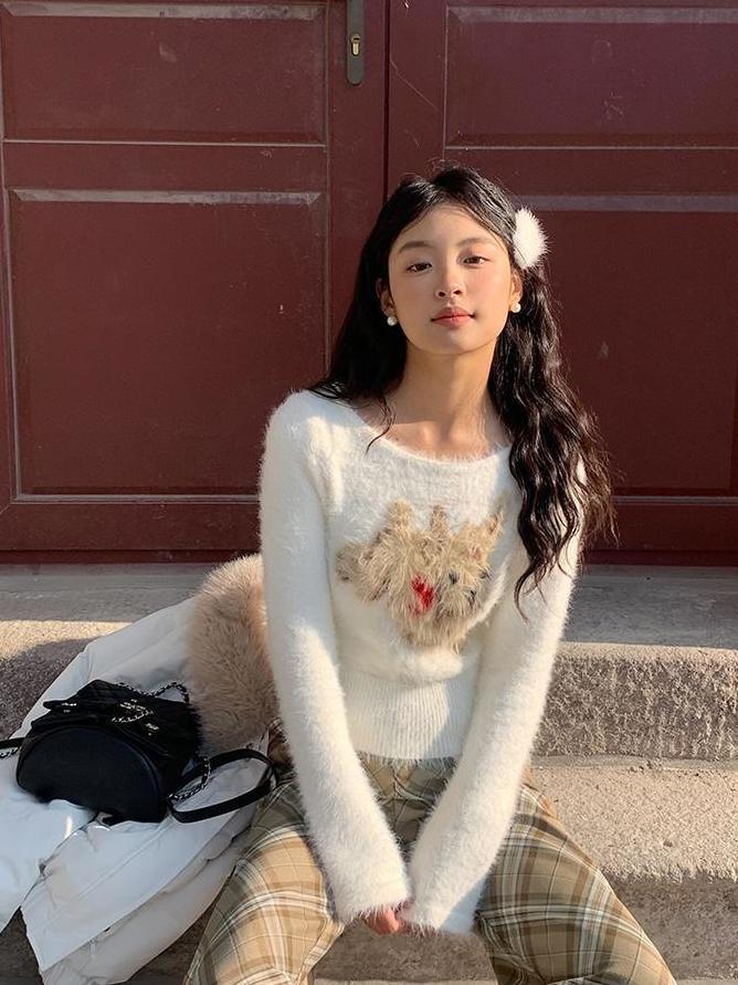 美式復古毛絨小狗印花圓領毛衣女2023秋冬新款設計感百搭休閒上衣
