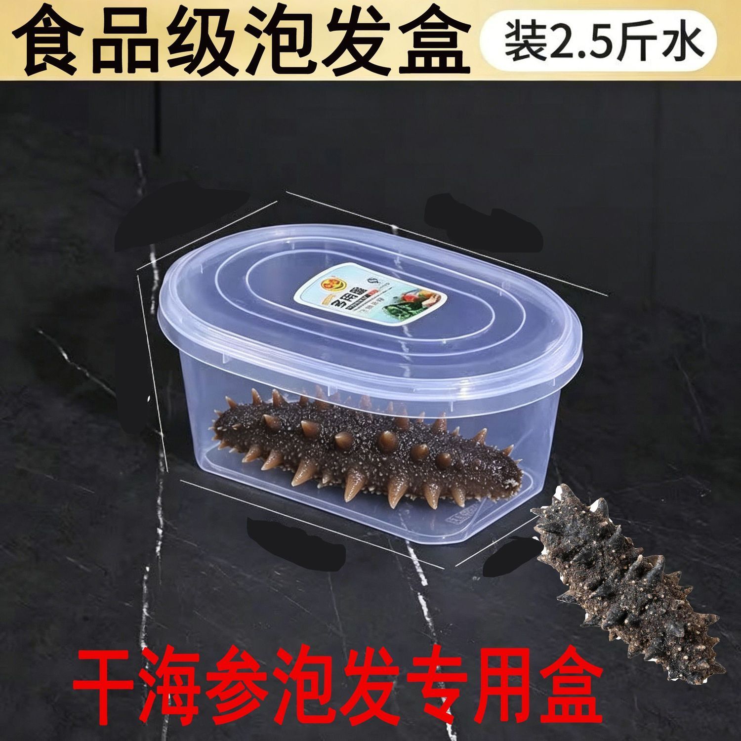 海参专用泡发盒 食品级密封盒 海参泡发收纳工具 加厚保鲜盒