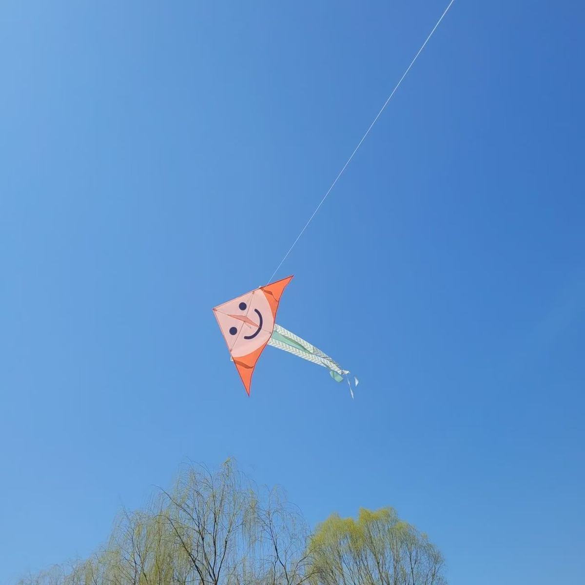 Cartoon Smiley Face Triangle Kite For Children Outdoor Play_voghion.com