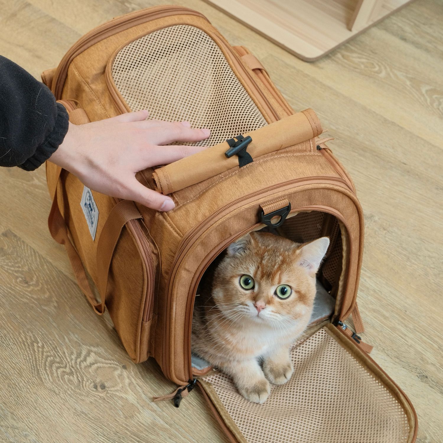 猫包外出便携手提可斜跨扩展透气猫咪狗狗大空间绝育宠物包猫袋子