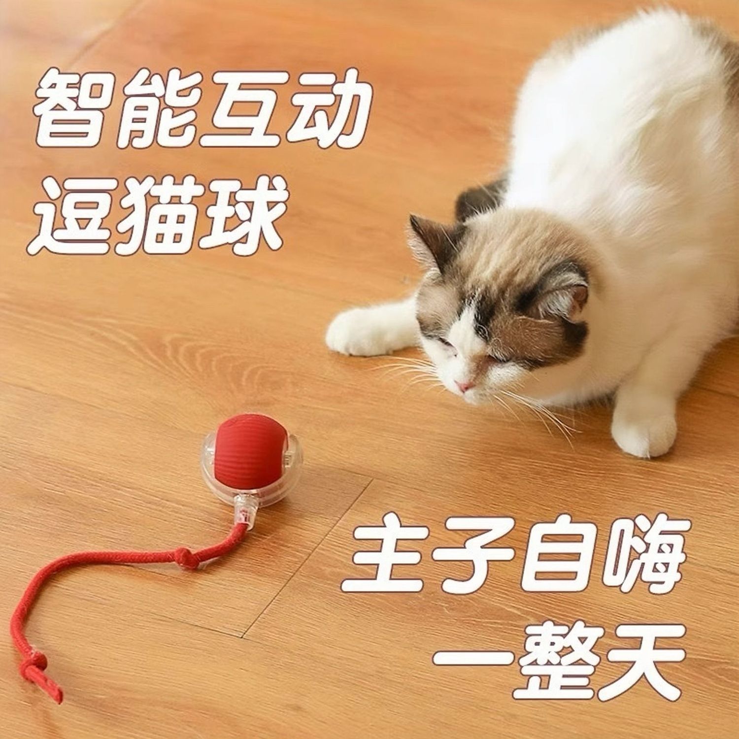 自动逗猫球猫咪玩具自嗨解闷智能逗猫棒消耗体力突突球电动猫神器