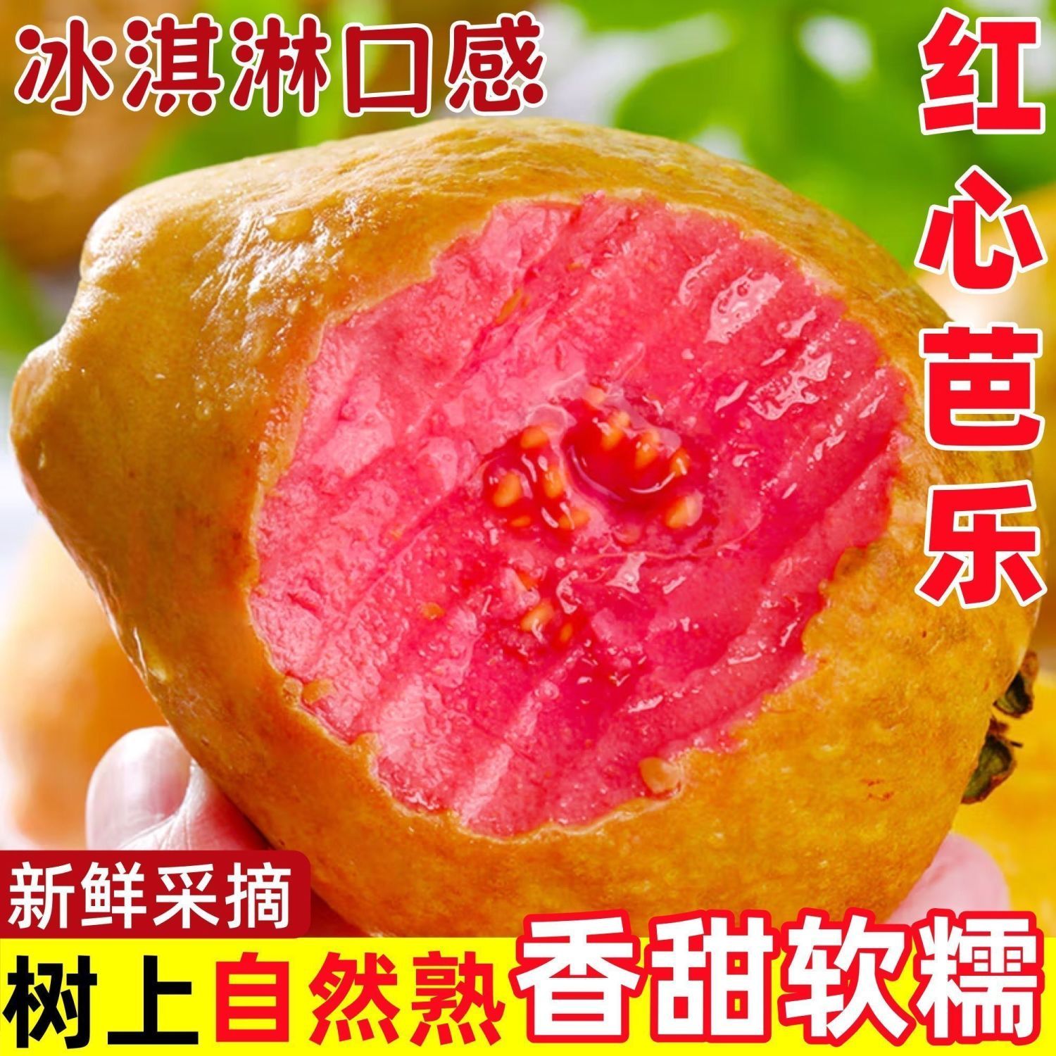 正宗广西奶油红心软芭乐香甜心软番石榴新鲜当季水果鸡屎草莓批发