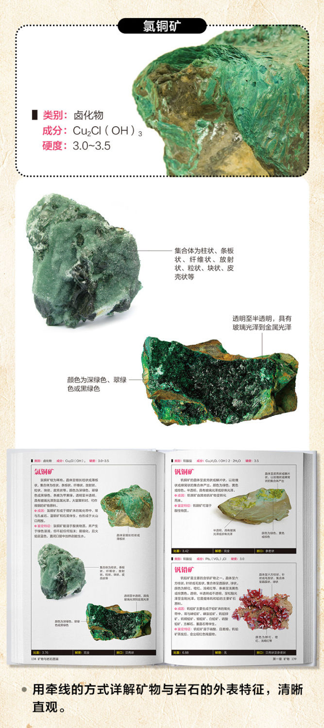ブランドのギフト china Mineral 矿物与岩石图鉴彩图 book encyclopedia rock and 図鑑