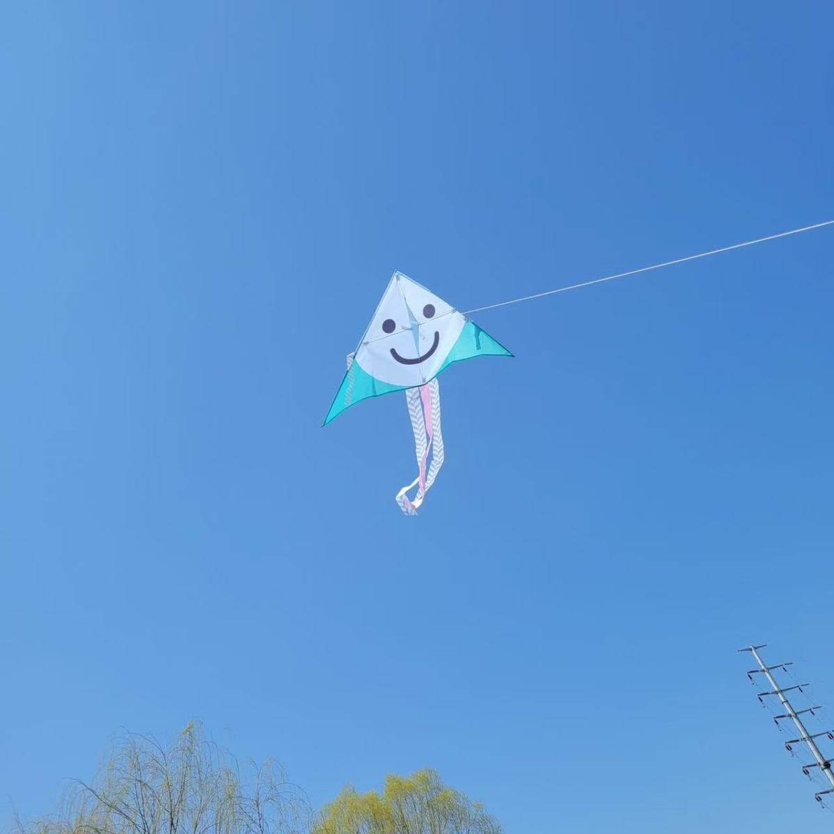 Cartoon Smiley Face Triangle Kite For Children Outdoor Play_voghion.com