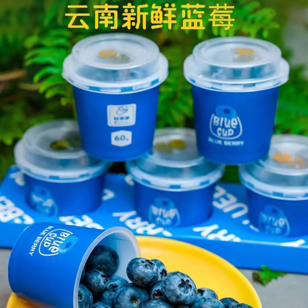 【顺丰快递】云南当季蓝莓新鲜宝宝水果大果蓝莓小蓝杯礼盒酸甜