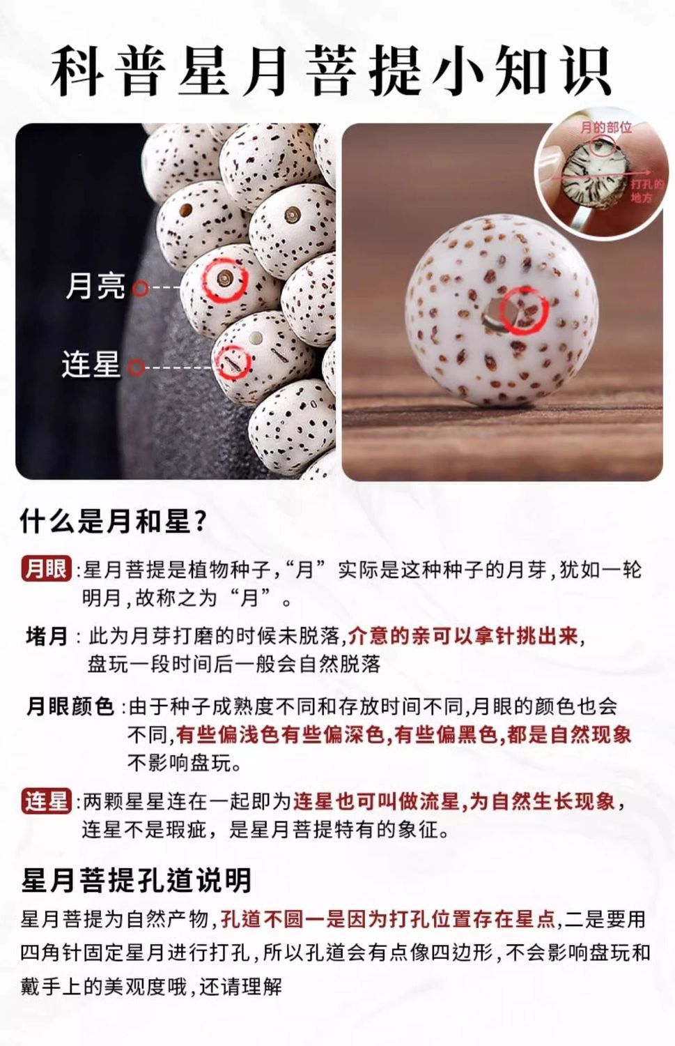 【灵月阁】海南星月菩提子108颗正月高密文玩手串男女佛珠项链手链 detail 16
