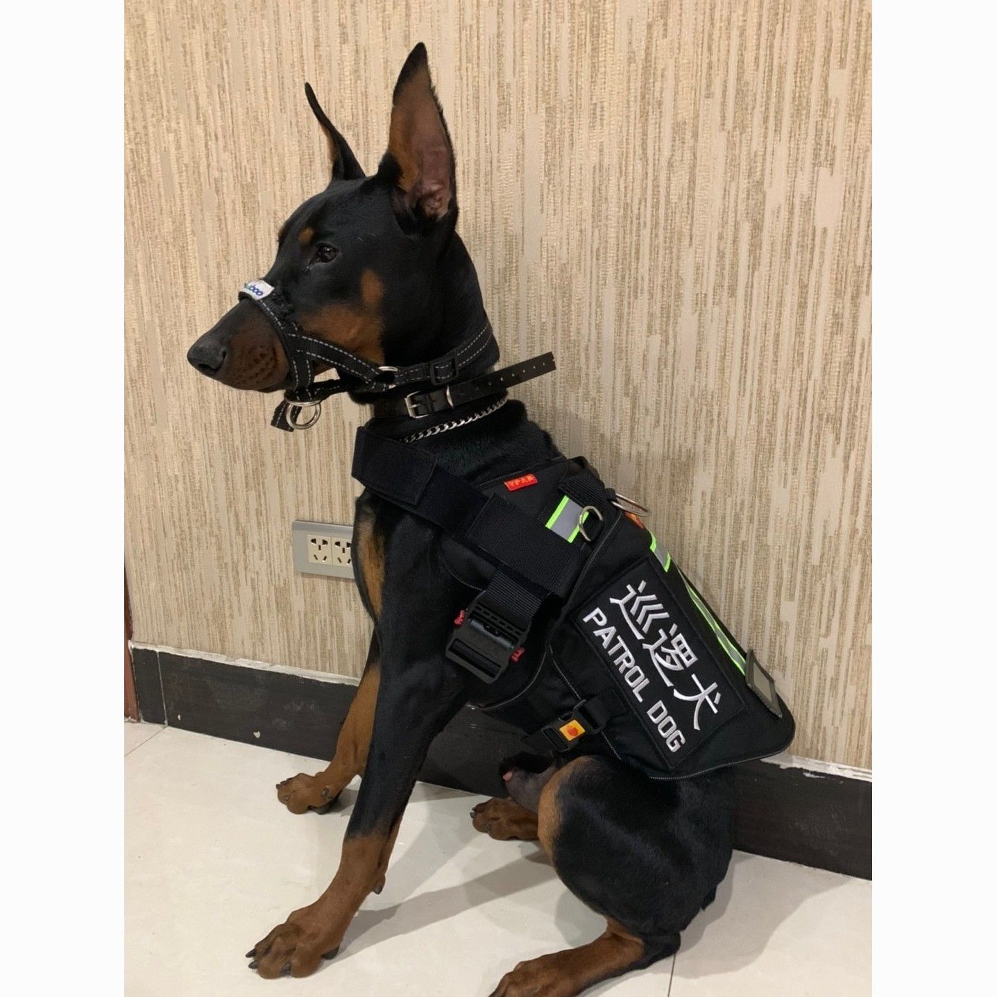 狗工作护卫哮天服可拆卸安装胸背带狗背心工作犬拉布拉多德牧马犬