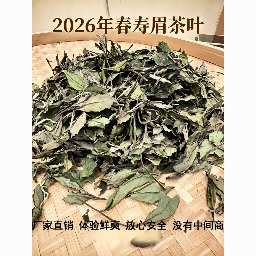 福鼎核心产区正宗福鼎白茶散装2026高山寿眉高品质口粮茶花香水甜