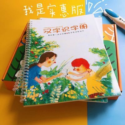 洪恩识字卡我的第一本汉字书大字拼音版认字幼儿宝宝早教神器识字