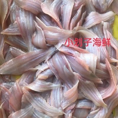 海鱼新鲜无头单面去皮无冰舌头鱼新鲜龙利鱼野生踏板鱼牛舌鱼冷冻