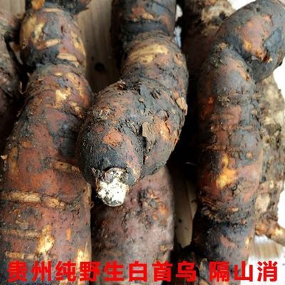 贵州省野生新鲜白首乌中草药材白人参牛皮消飞来鹤隔山消包邮