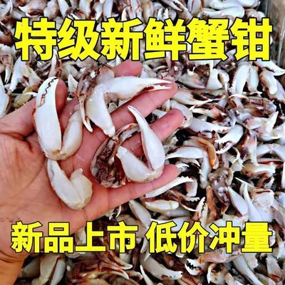 蟹钳新鲜冷冻醉蟹脚麻辣蟹钳生腌蟹钳花蟹钳小吃酒店食材批发