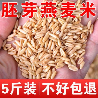 燕麦米5斤新鲜野麦雀麦去皮裸燕麦仁生燕麦片全胚芽燕麦大米新米