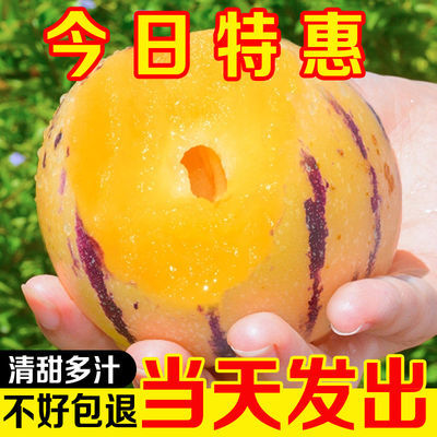 76202/【畅销】云南石林人参果圆果新鲜应季黄肉低糖孕妇水果整箱批发价