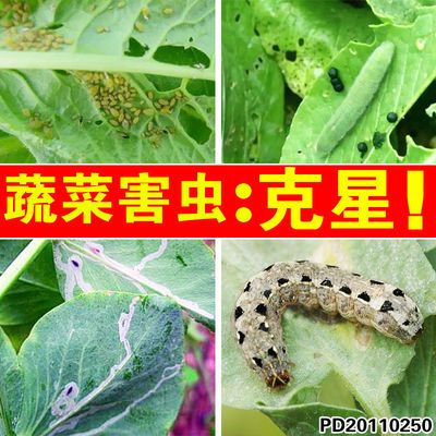 高效氯氟氰菊酯强效杀虫剂果树蔬菜花卉蚜虫青虫地上地下害虫通杀 11月30日发完 虎窝拼