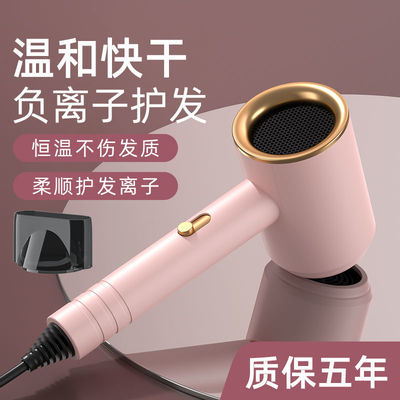 70741/CHENGSIBAO电吹风机家用理发店大功率网红负离子护发静音吹风筒