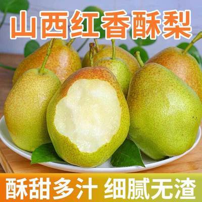 山西香梨水果新鲜应季红香酥梨子特级批发价3/5/10斤现发薄皮梨