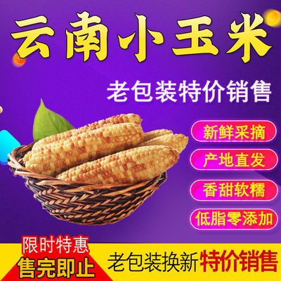 79018/西双版纳小香糯玉米 新鲜减脂餐食材专用 现摘真空包装老包装批发