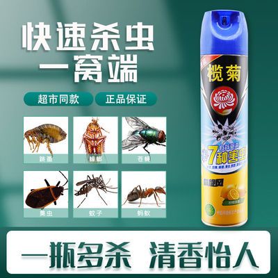 83171/榄菊杀虫剂喷雾剂驱蚊神器蟑螂药苍蝇药蚂蚁药跳蚤药家用好物无毒