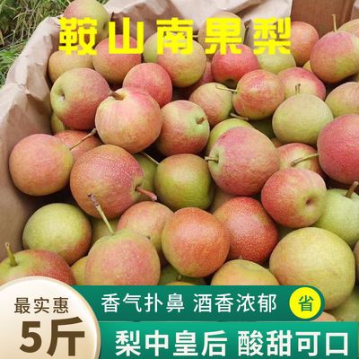 75898/正宗鞍山海城南果梨南果梨10斤装东北特产水果香水梨醉梨软梨5斤