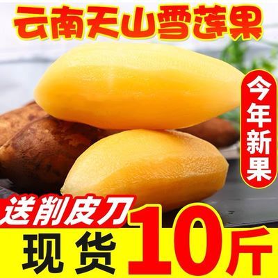 75434/【送削皮器】云南天山黄心雪莲果3/5/10斤当季新鲜水果整箱包邮