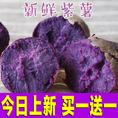 现挖广西紫心无丝紫薯罗兰沙地瓜5-10斤新鲜板栗迷你糯香甜小番薯
