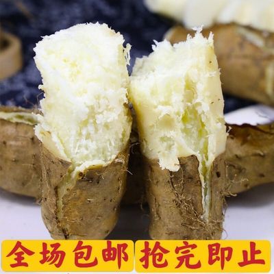 75645/广东毛薯甜薯猪仔薯农家新鲜现挖田薯火苕薯脚板薯粉糯自种山药
