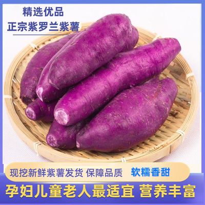 (新鲜紫薯)紫番薯红薯紫心地瓜紫番薯香薯粉糯香甜糖心蜜薯紫罗兰