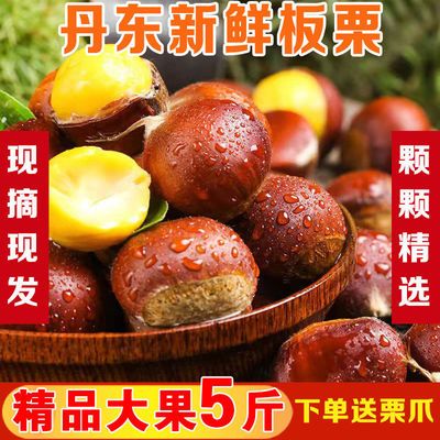 79105/【特惠秒杀】2021新鲜板栗生栗子新鲜丹东板栗野生农家板栗批发
