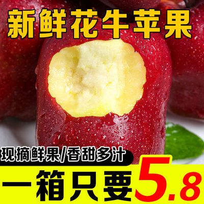 75417/【精选特价】天水花牛苹果蛇果水果新鲜当季批发3/5/10斤粉面刮泥
