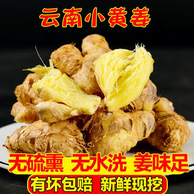 75850/2021年新鲜云南小黄姜生姜老姜新姜月子姜现挖生态山地姜整箱批发