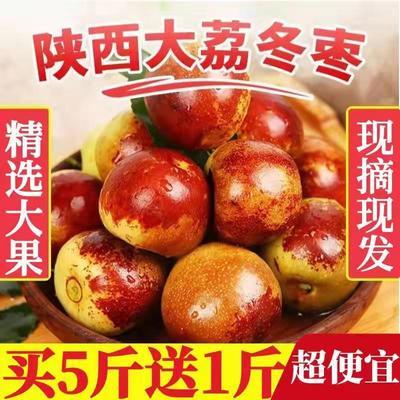 75580/陕西大荔冬枣新鲜脆甜枣子红枣5当季孕妇新鲜水果青枣整箱6包邮